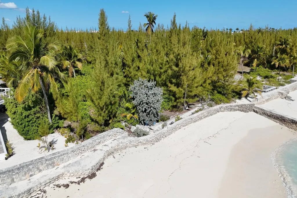 Windward Beachfront Lot Abaco BS — photo 11