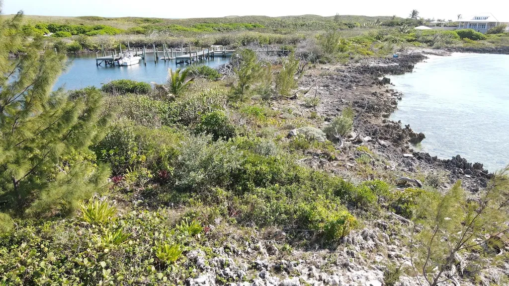 Lots 2 & 3, Tilloo Pond Abaco BS — photo 8