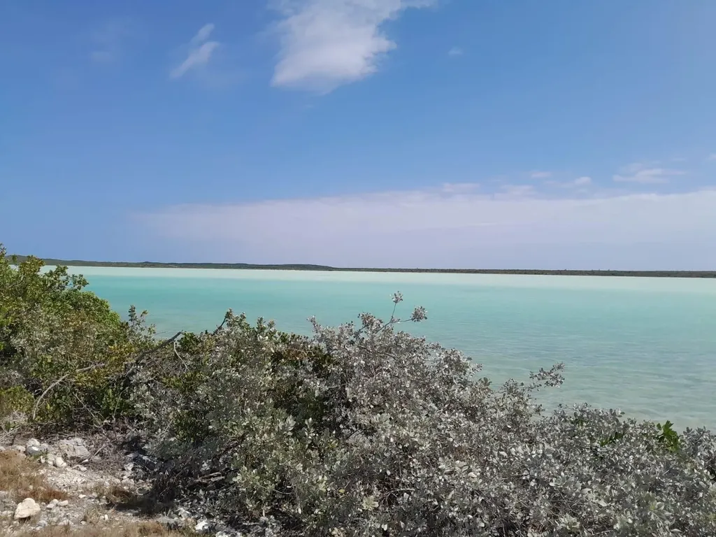 Abaco Deep Sea Cay Acres Abaco BS — photo 12