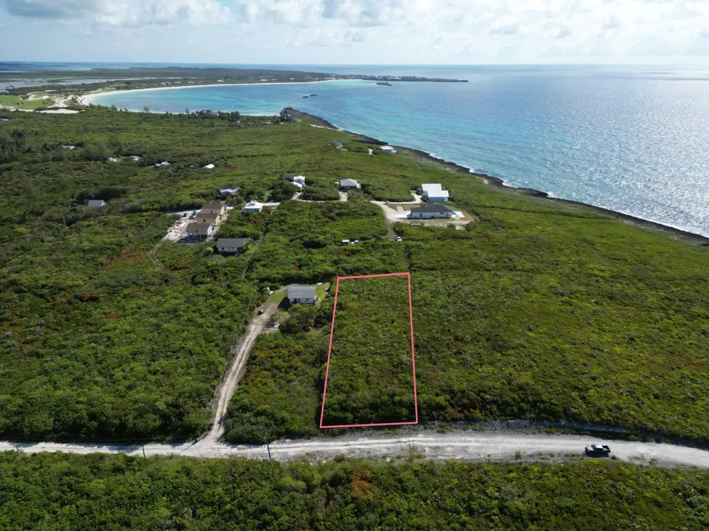 Yellow Wood, Cherokee 4f Abaco BS — photo 2