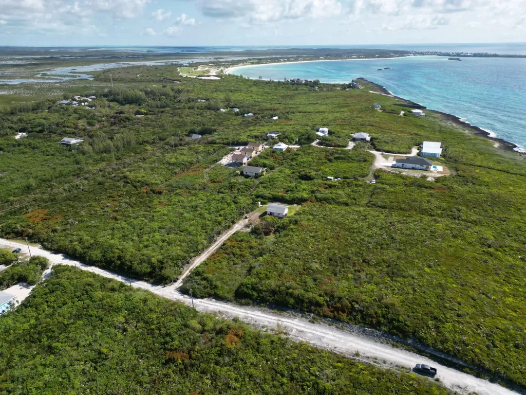 Yellow Wood, Cherokee 4f Abaco BS — photo 11