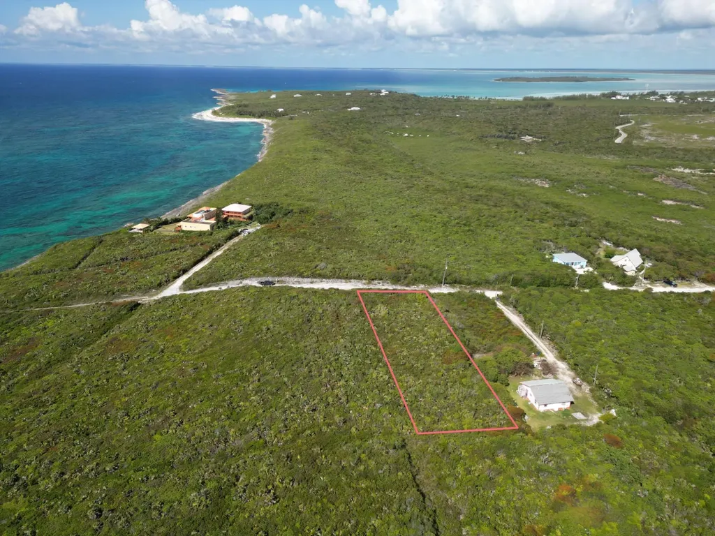 Yellow Wood, Cherokee 4f Abaco BS — photo 3