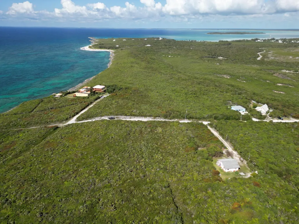 Yellow Wood, Cherokee 4f Abaco BS — photo 4