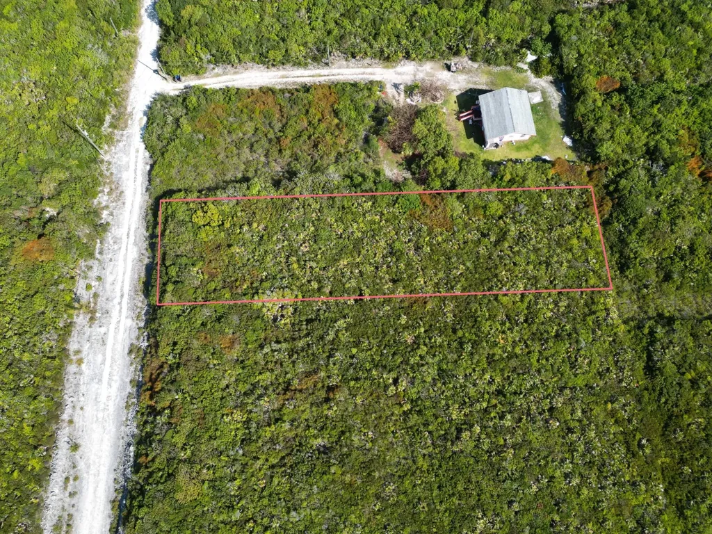 Yellow Wood, Cherokee 4f Abaco BS — photo 5