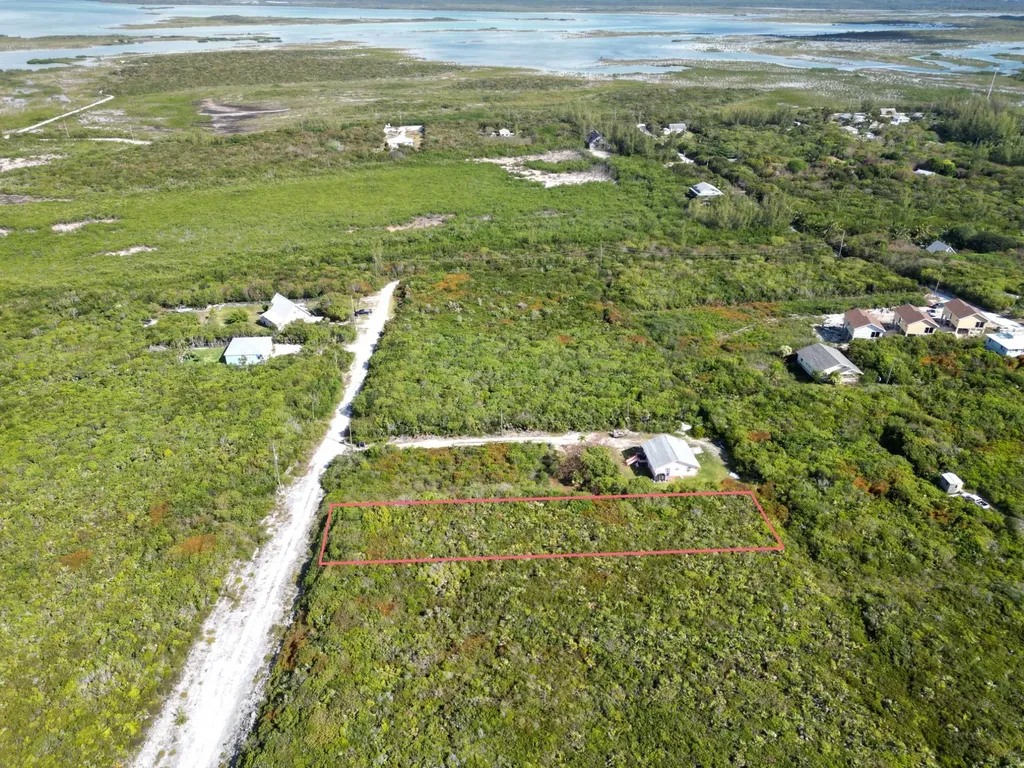 Yellow Wood, Cherokee 4f Abaco BS — photo 6