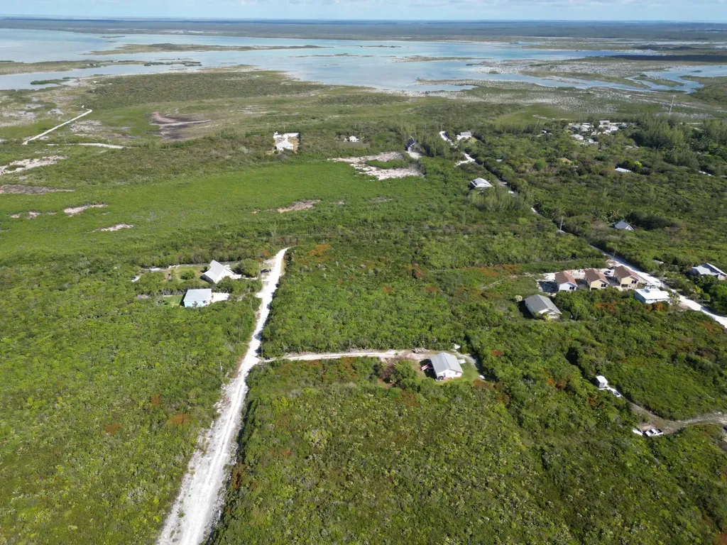 Yellow Wood, Cherokee 4f Abaco BS — photo 7