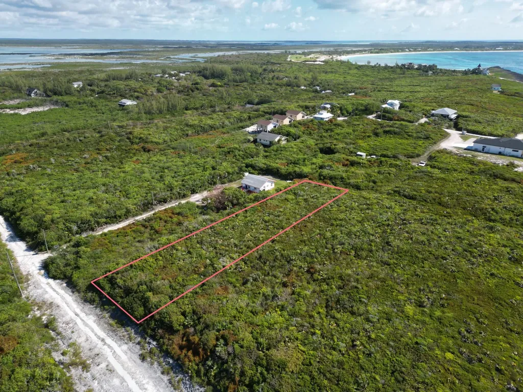Yellow Wood, Cherokee 4f Abaco BS — photo 8