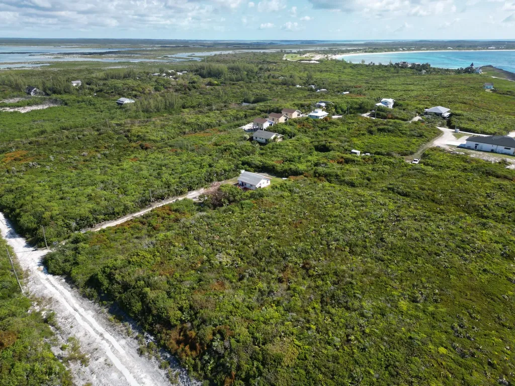 Yellow Wood, Cherokee 4f Abaco BS — photo 9