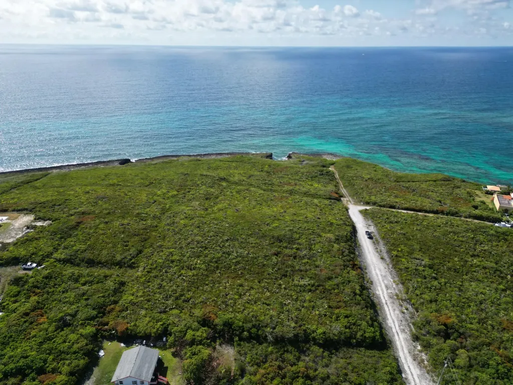Yellow Wood, Cherokee 4f Abaco BS — photo 10