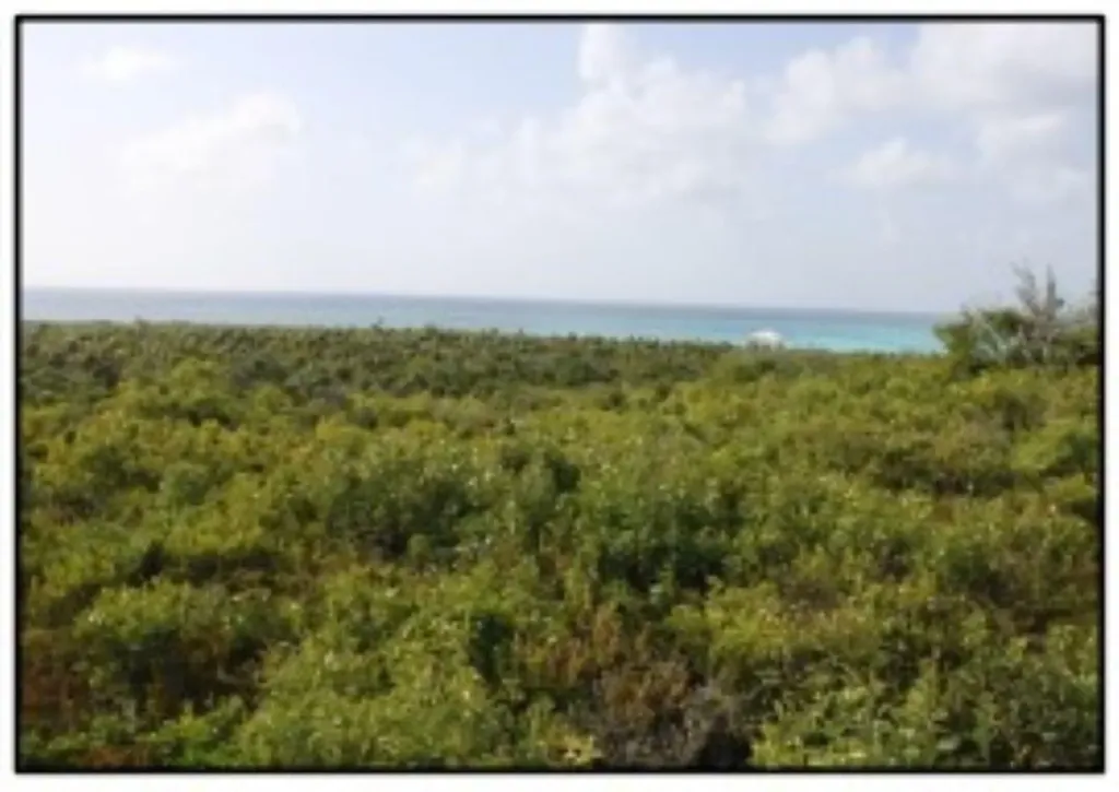 Columbus Landings Two San Salvador BS — photo 5