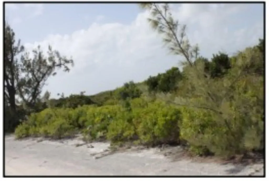 Columbus Landings Two San Salvador BS — photo 10