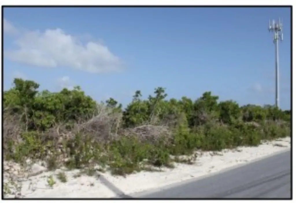 Columbus Landings Two San Salvador BS — photo 4