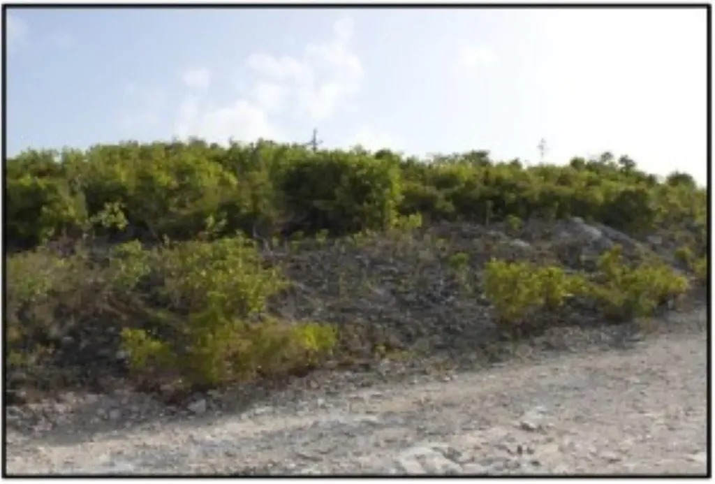 Columbus Landings Two San Salvador BS — photo 9