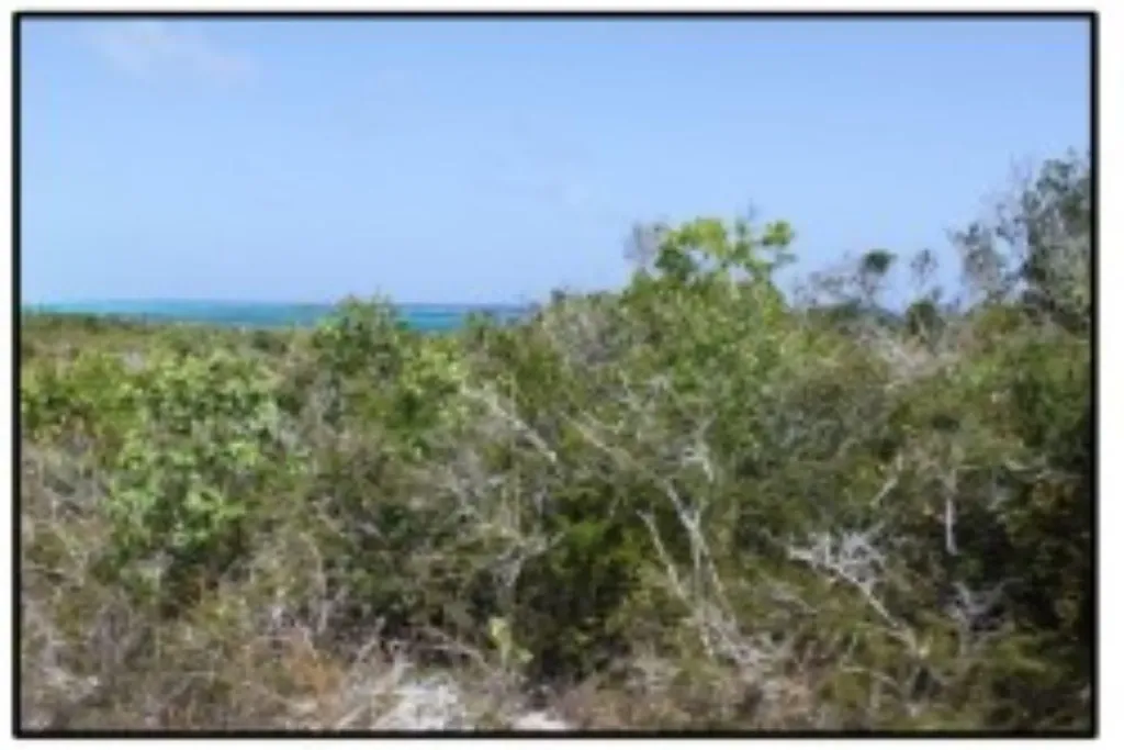 Columbus Landings Two San Salvador BS — photo 6
