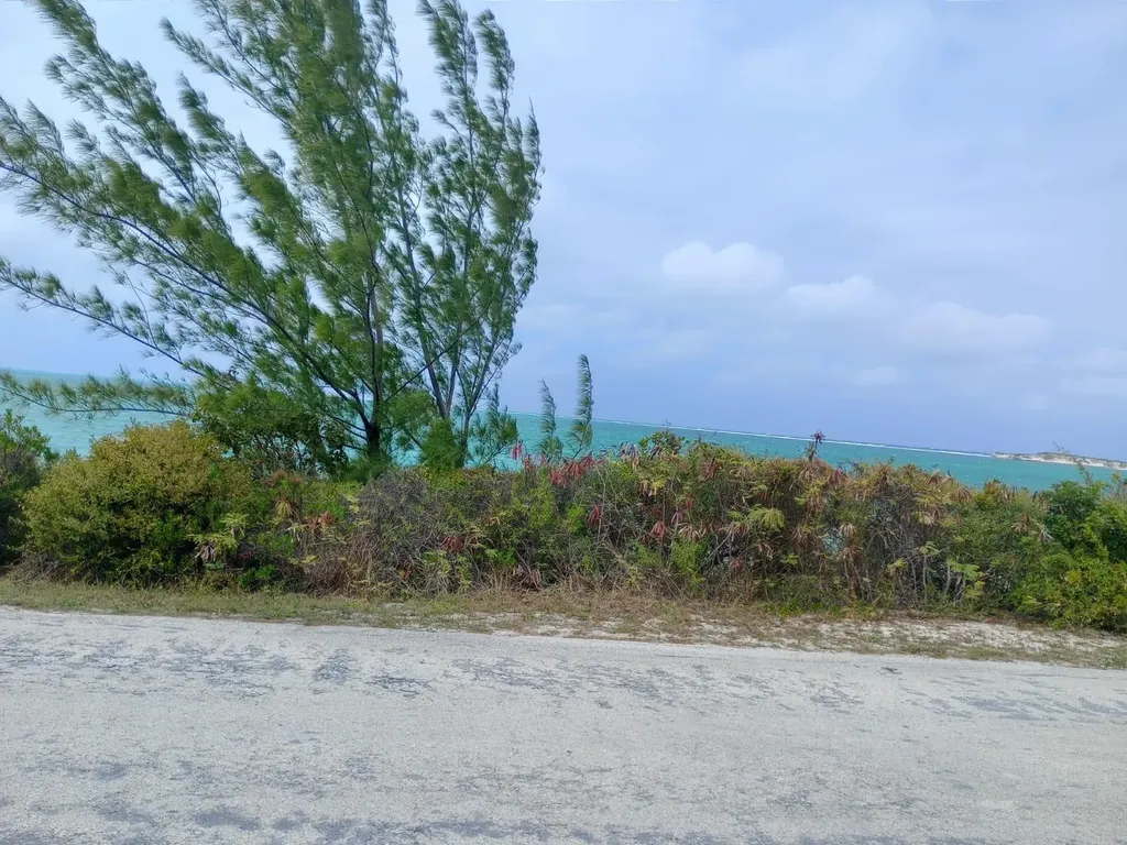 Lothian Tract, Graham Harbor San Salvador BS — photo 4