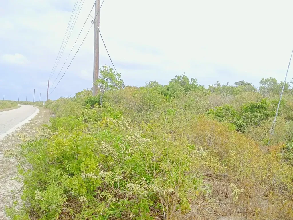 Lothian Tract, Graham Harbor San Salvador BS — photo 5