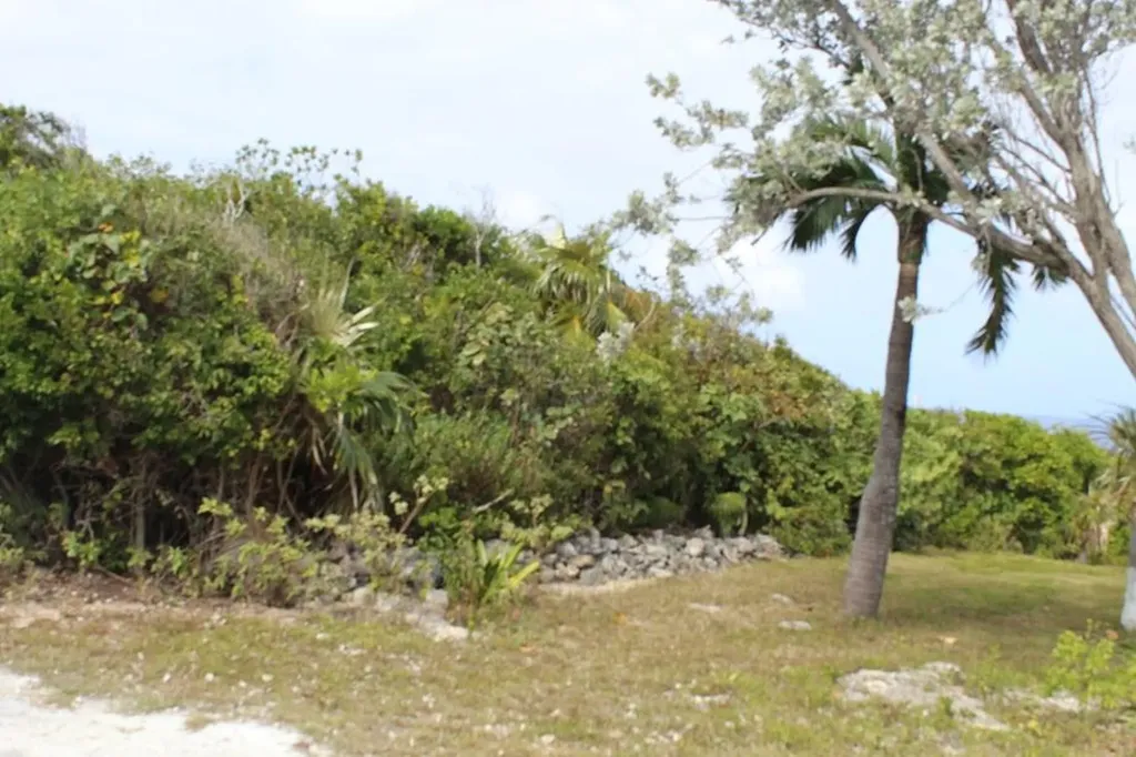 Lot 6 Block 2 Stella Mari Long Island BS — photo 3