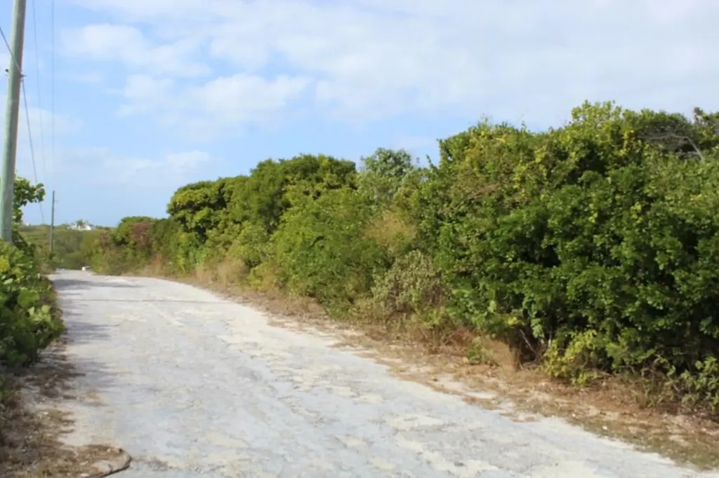 Lot 6 Block 2 Stella Mari Long Island BS — photo 4