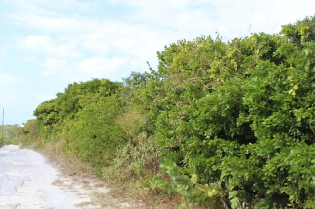 Lot 6 Block 2 Stella Mari Long Island BS — photo 6