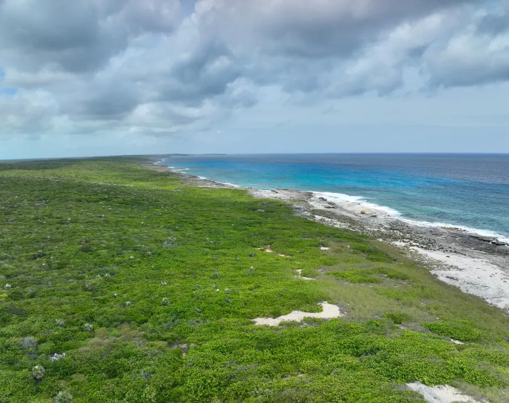 Deadmans Cay Long Island BS — photo 11