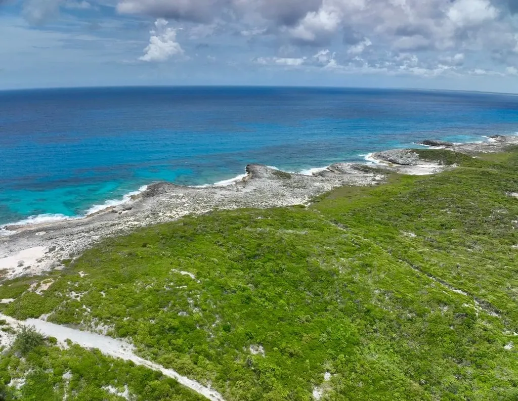Deadmans Cay Long Island BS — photo 7