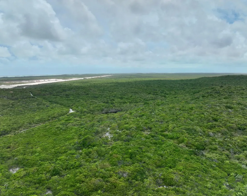 Deadmans Cay Long Island BS — photo 8
