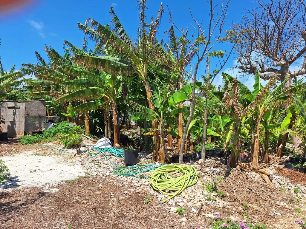 Man O War Cay Abaco BS — photo 3