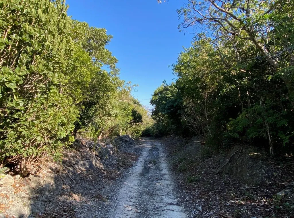 S.c. Bootle Highway, Abaco Abaco BS — photo 2