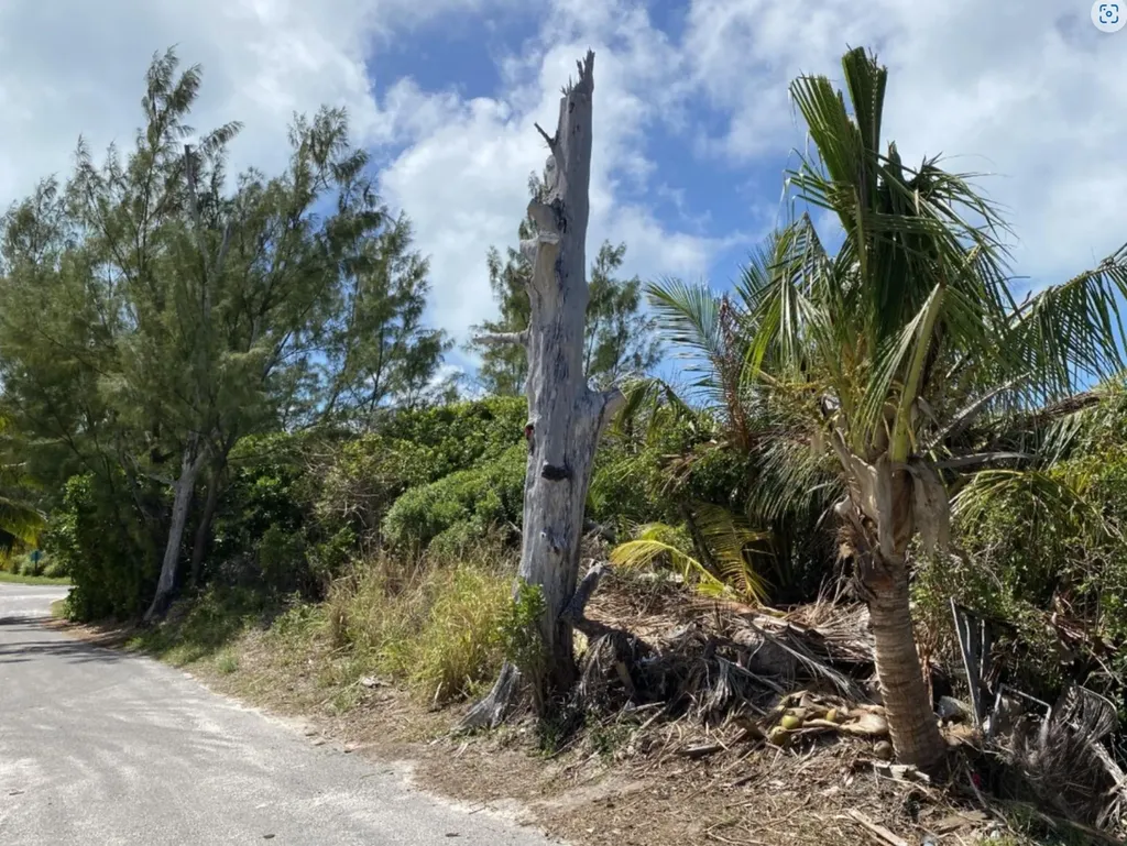 S.c. Bootle Highway, Abaco Abaco BS — photo 3