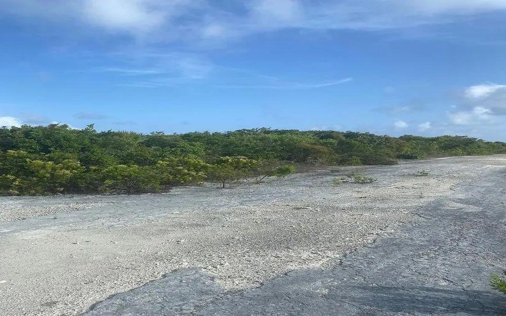 Lot 5 Columbus Landing 4 San Salvador BS — photo 6