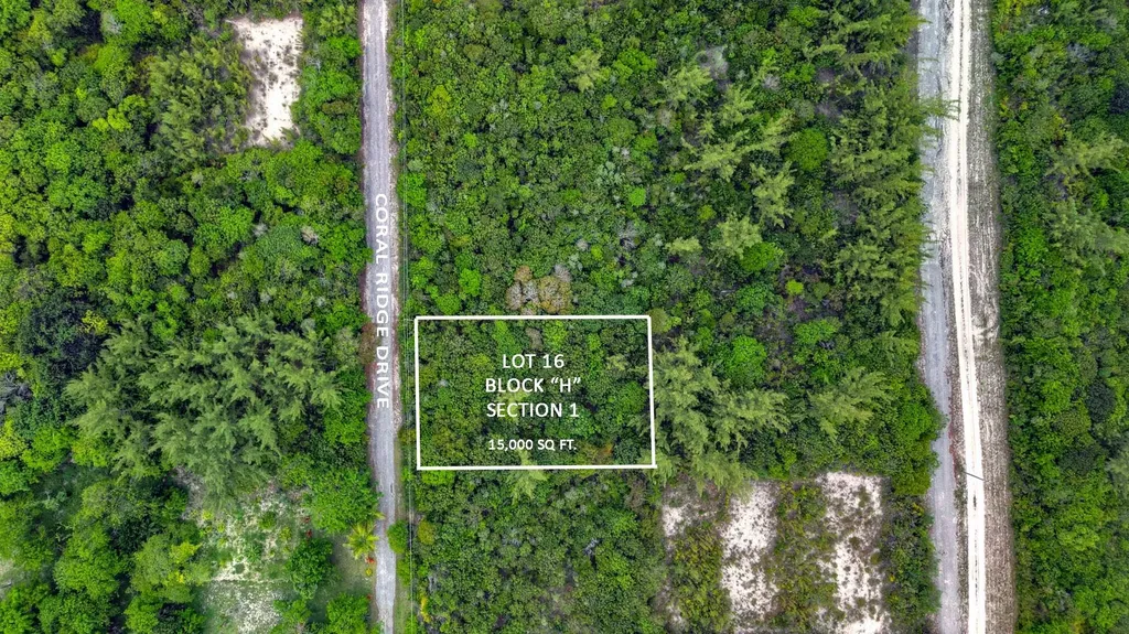 Bahama Palm Shores Lot 16 Abaco BS — photo 2