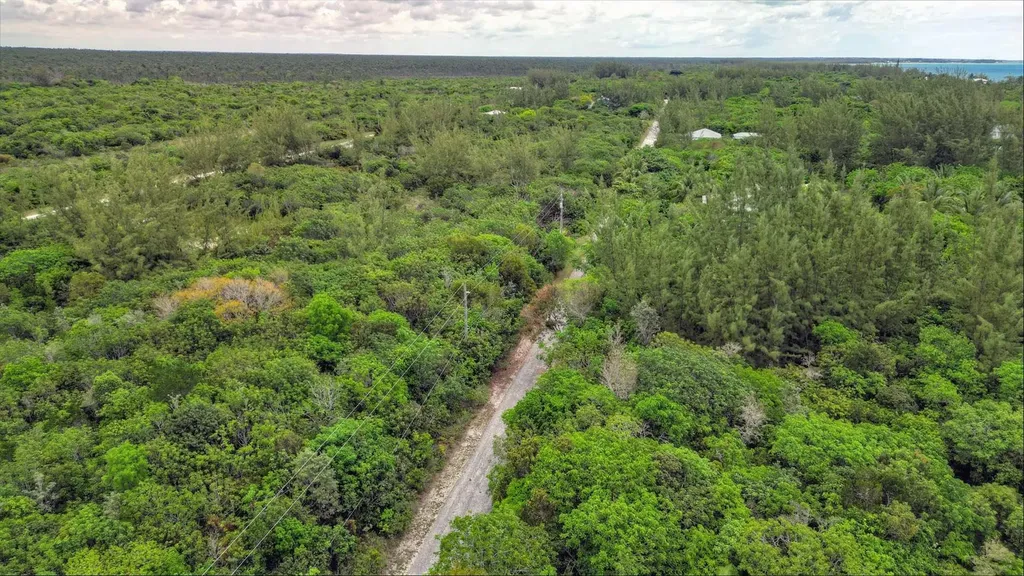 Bahama Palm Shores Lot 16 Abaco BS — photo 3
