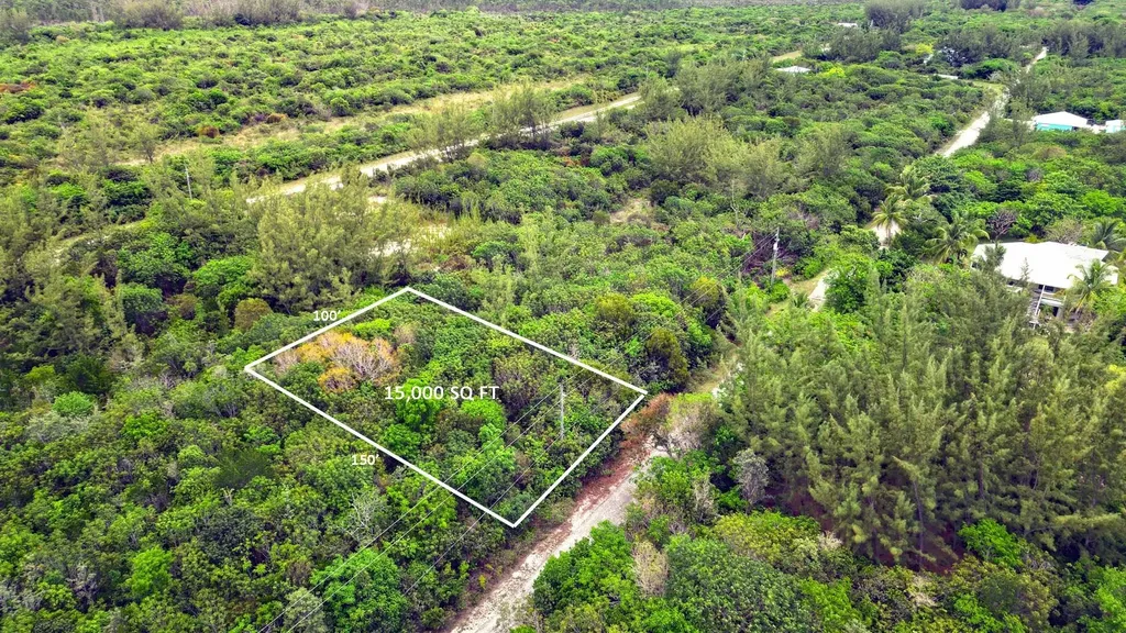 Bahama Palm Shores Lot 16 Abaco BS — photo 4