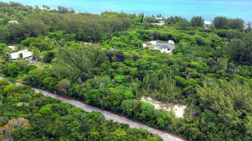 Bahama Palm Shores Lot 16 Abaco BS — photo 5