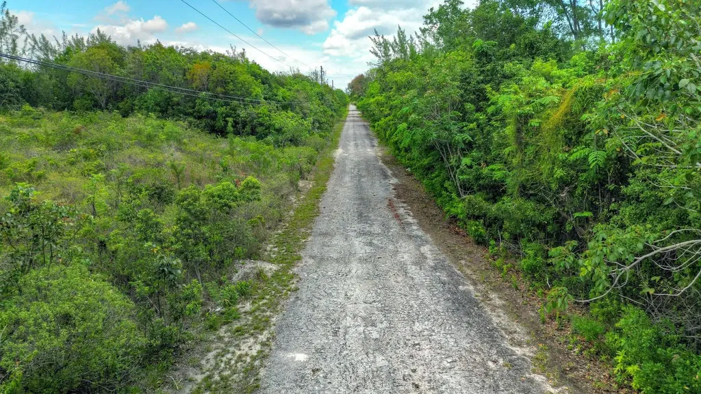 Bahama Palm Shores Lot 16 Abaco BS — photo 6