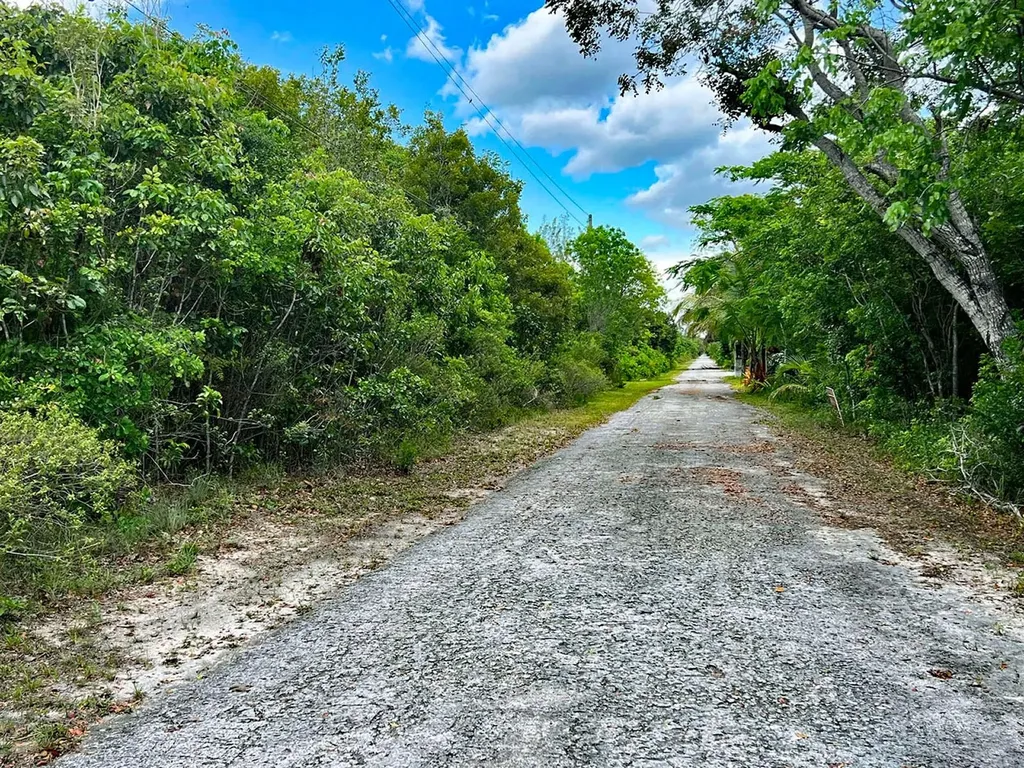 Bahama Palm Shores Lot 16 Abaco BS — photo 7