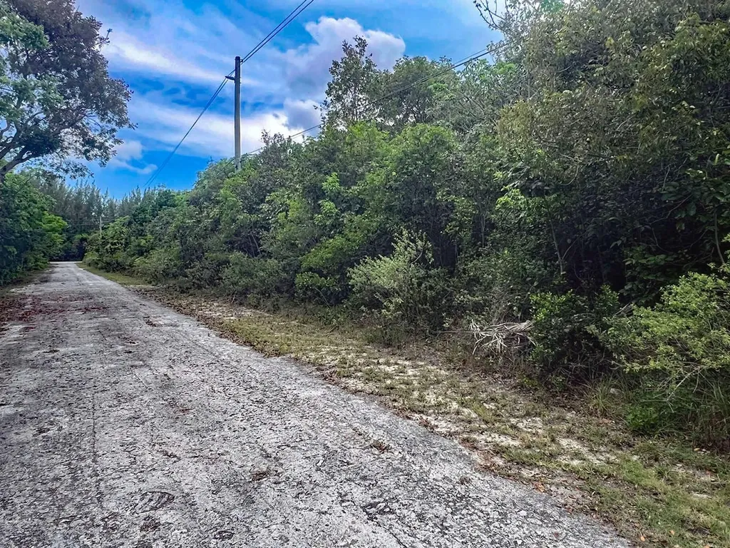 Bahama Palm Shores Lot 16 Abaco BS — photo 8