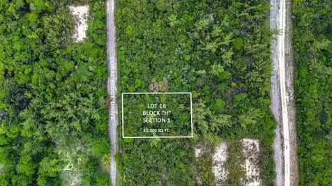 Bahama Palm Shores Lot 16 Abaco BS — photo 9