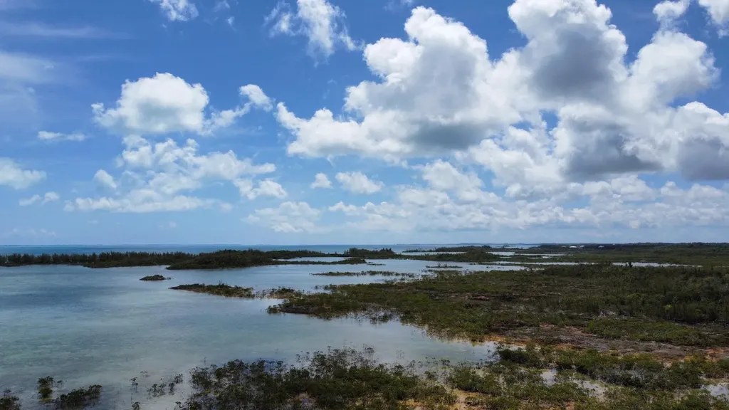 Hills Creek Sc Bootle Hig Abaco BS — photo 2