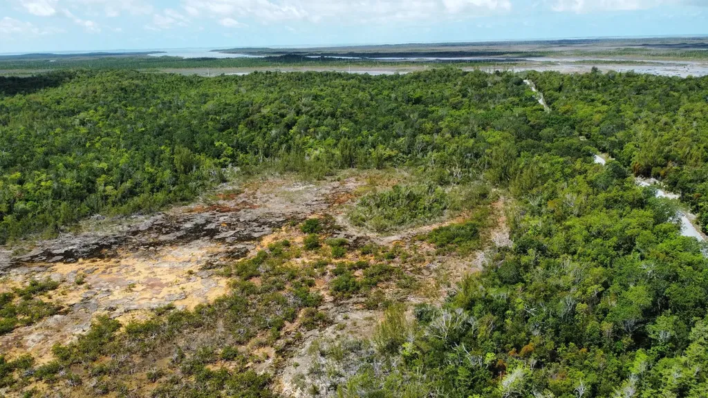 Hills Creek Sc Bootle Hig Abaco BS — photo 11