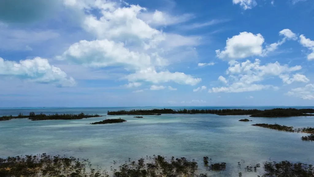 Hills Creek Sc Bootle Hig Abaco BS — photo 3