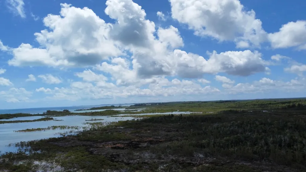 Hills Creek Sc Bootle Hig Abaco BS — photo 5