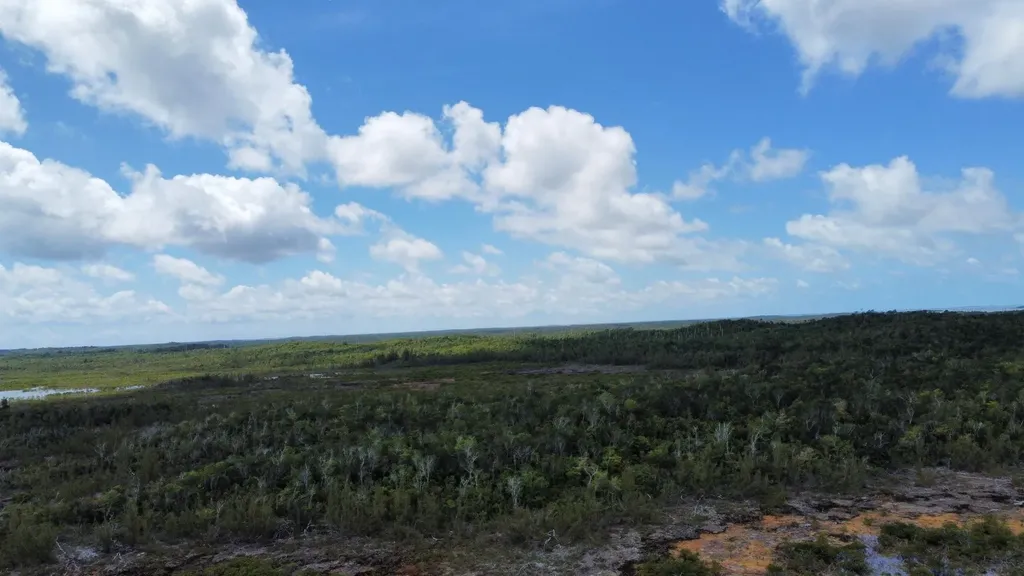 Hills Creek Sc Bootle Hig Abaco BS — photo 6