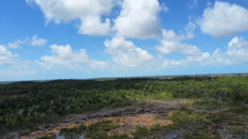Hills Creek Sc Bootle Hig Abaco BS — photo 7