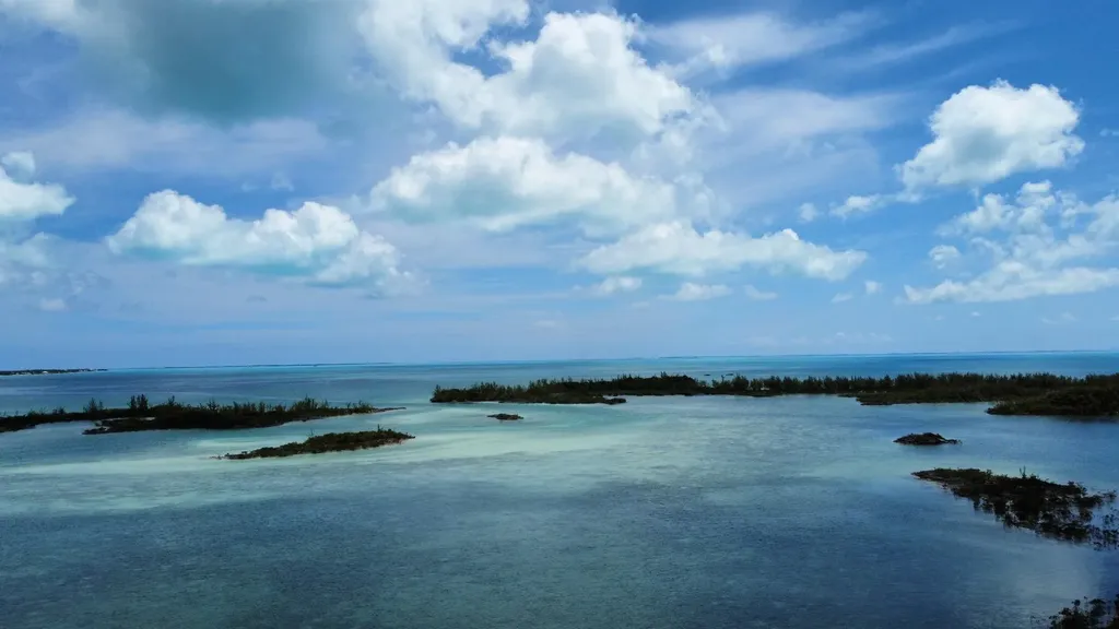 Hills Creek Sc Bootle Hig Abaco BS — photo 8