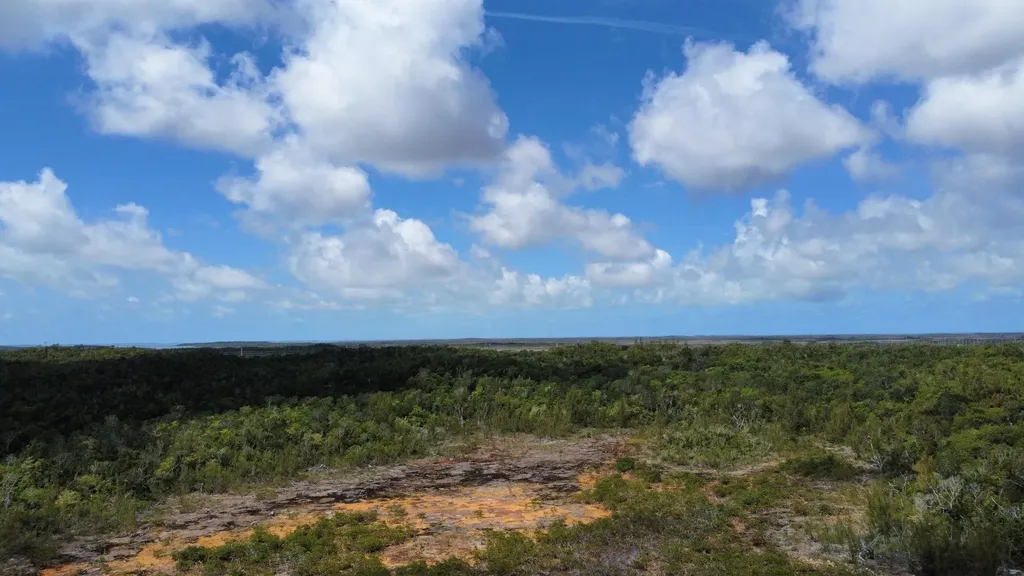 Hills Creek Sc Bootle Hig Abaco BS — photo 9