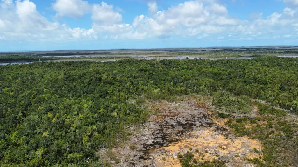 Hills Creek Sc Bootle Hig Abaco BS — photo 10