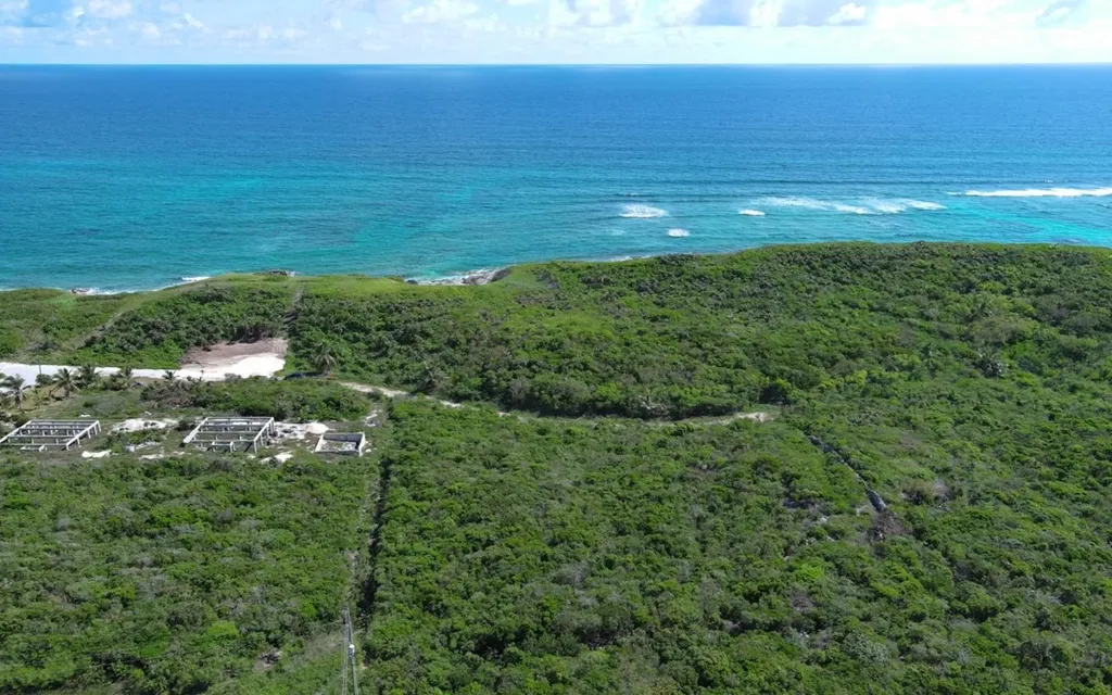 Oceanview Lot Scrub Hill Long Island BS — photo 5