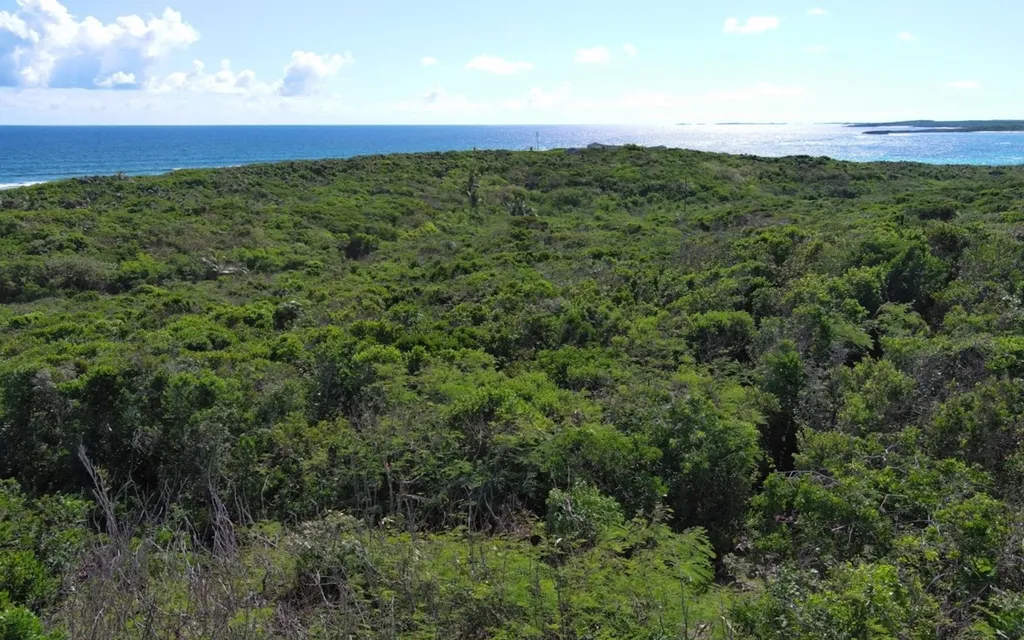 Oceanview Lot Scrub Hill Long Island BS — photo 6