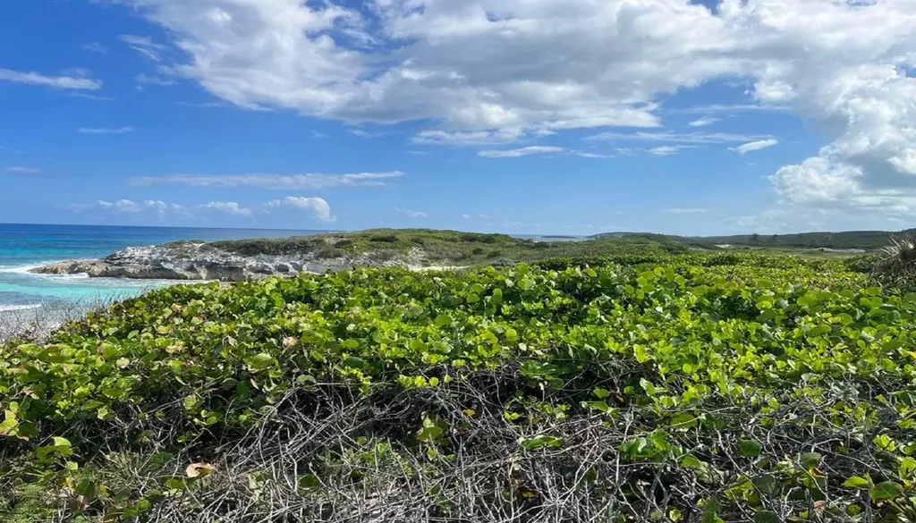 Oceanview Lot 1b, Millers Long Island BS — photo 12